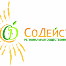 Заставка для - Региональная общественная организация родителей детей с инвалидностью «СоДействие» Республики Башкортостан провела открытое информационное родительское собрание